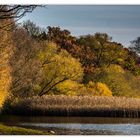 Goldener Herbst