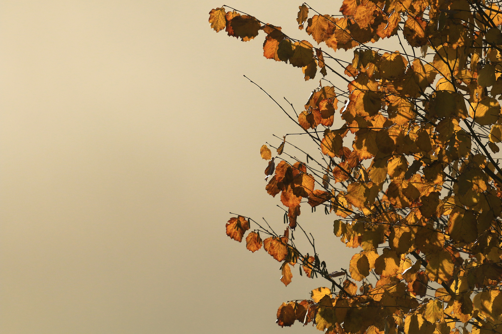 Goldener Herbst