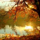 Goldener Herbst