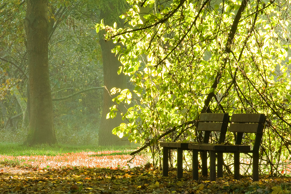 Goldener Herbst