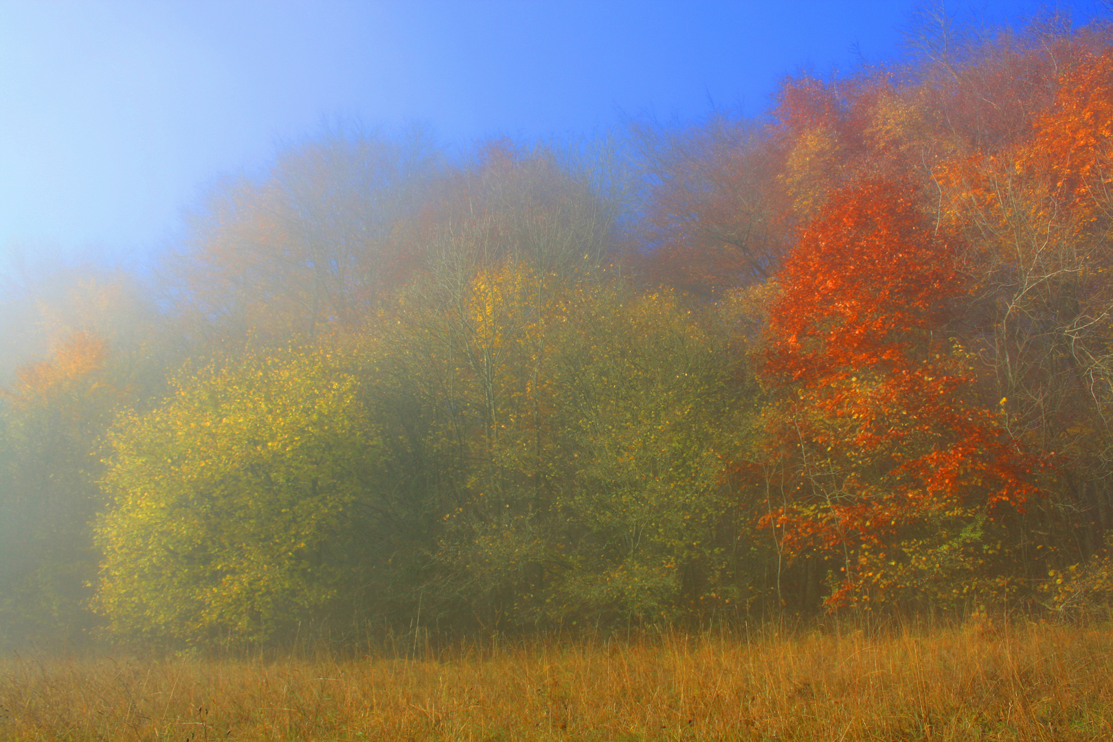 goldener Herbst 