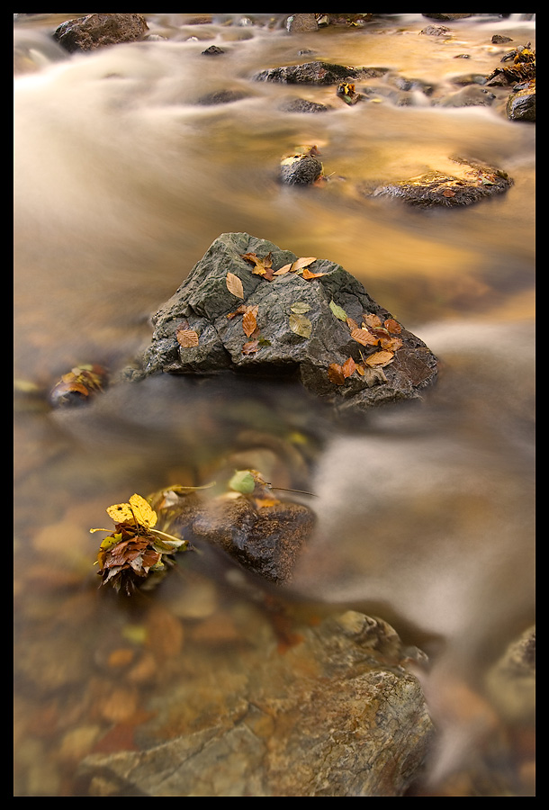 goldener Herbst