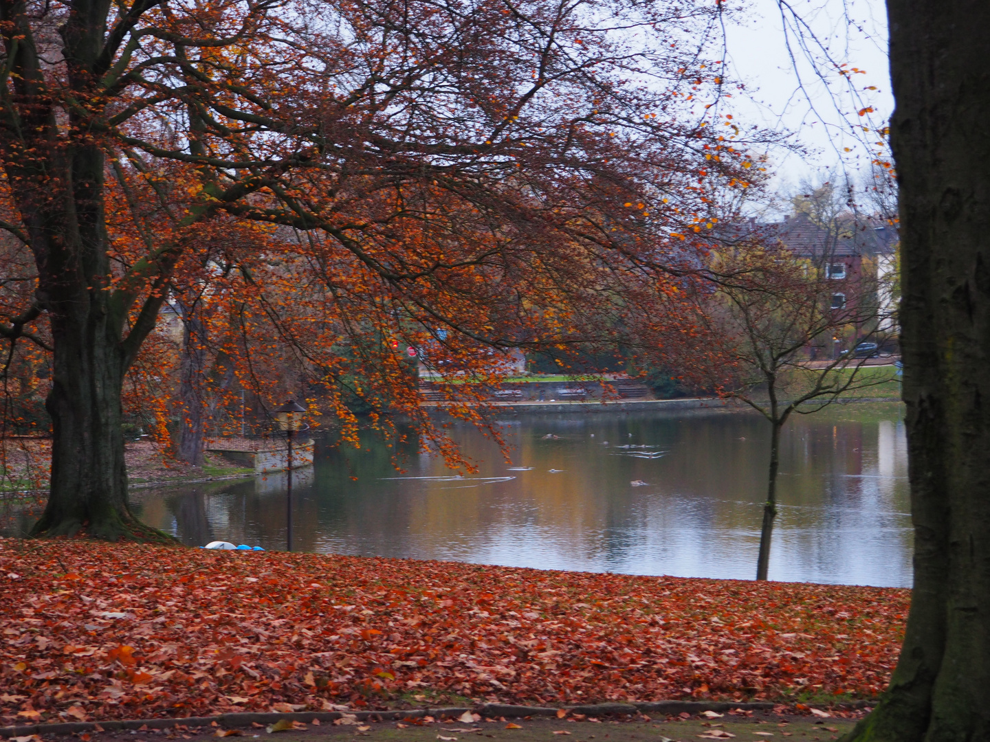 Goldener Herbst. Bochum Stadtpark.