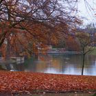 Goldener Herbst. Bochum Stadtpark.