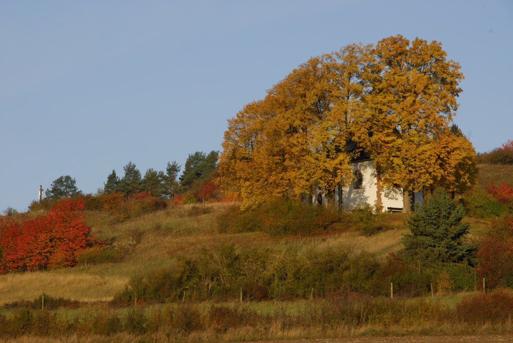 goldener Herbst