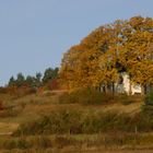 goldener Herbst