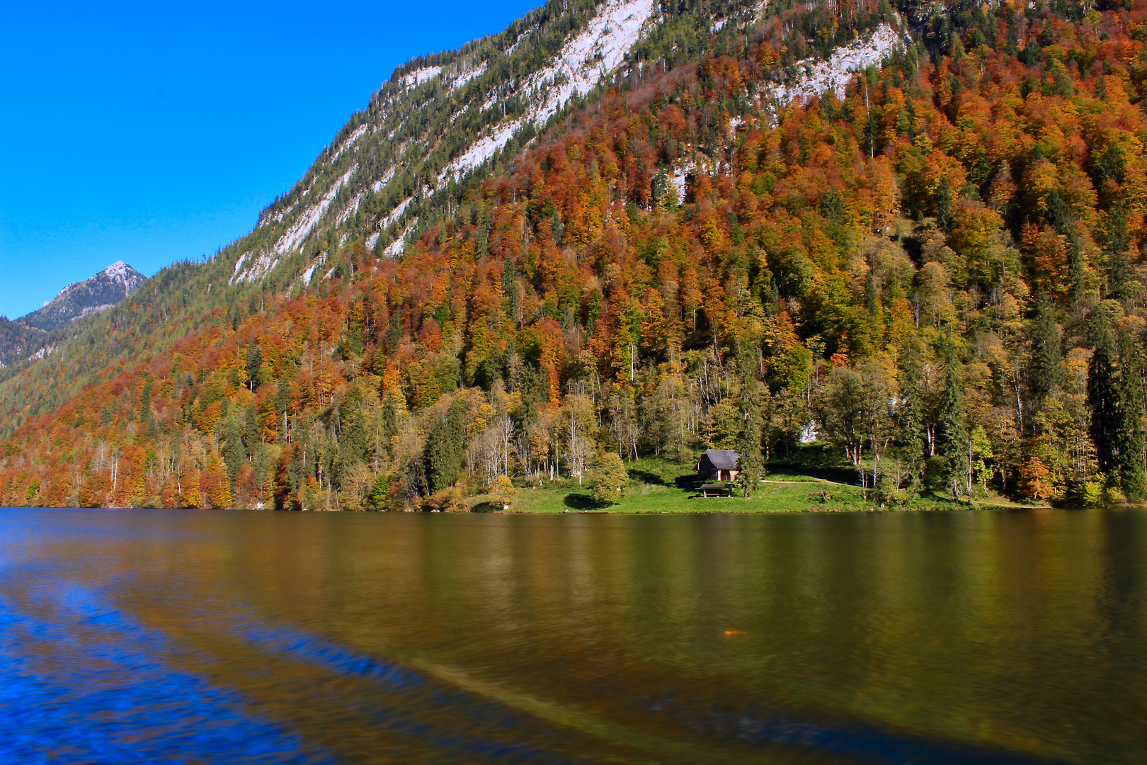 Goldener Herbst