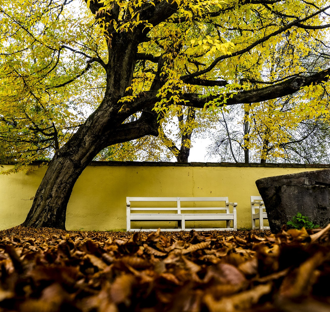 Goldener Herbst