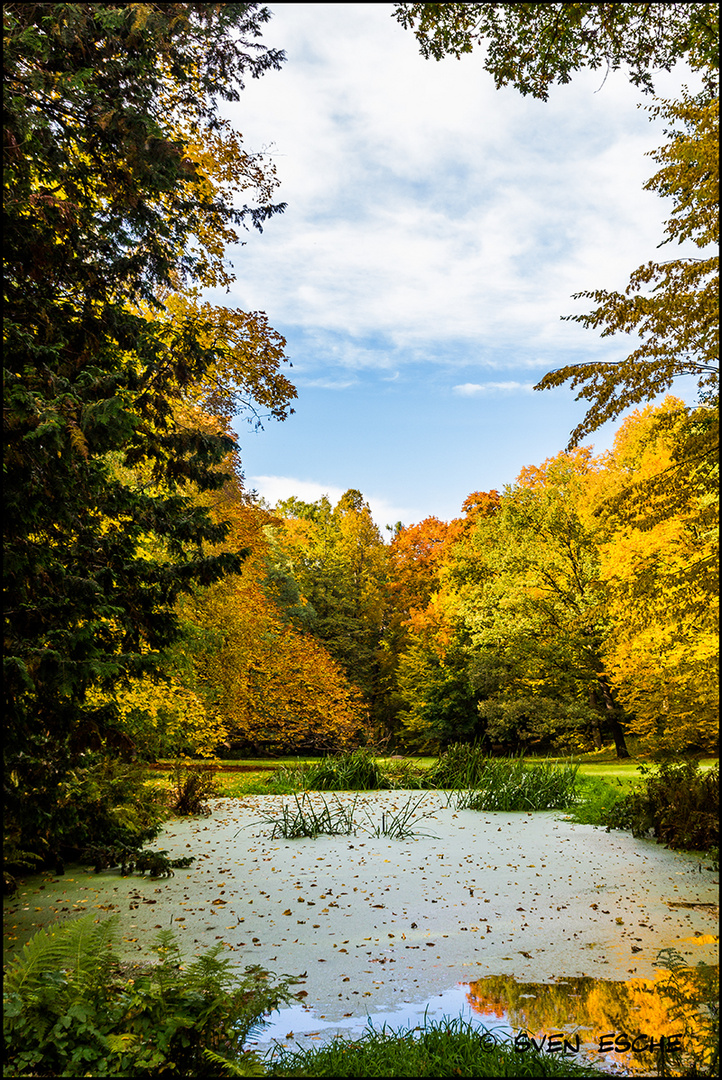 Goldener Herbst