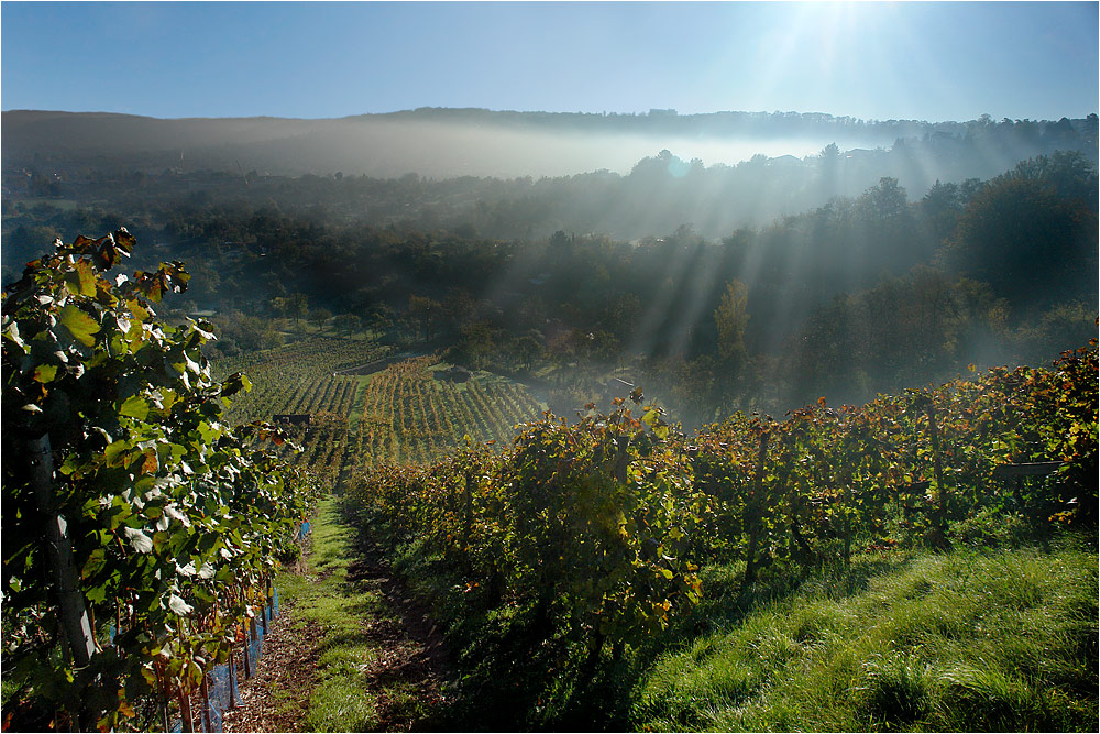 Goldener Herbst