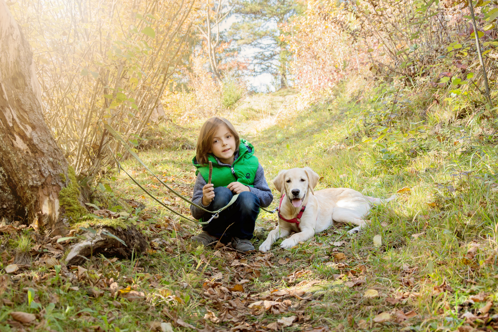 goldener Herbst