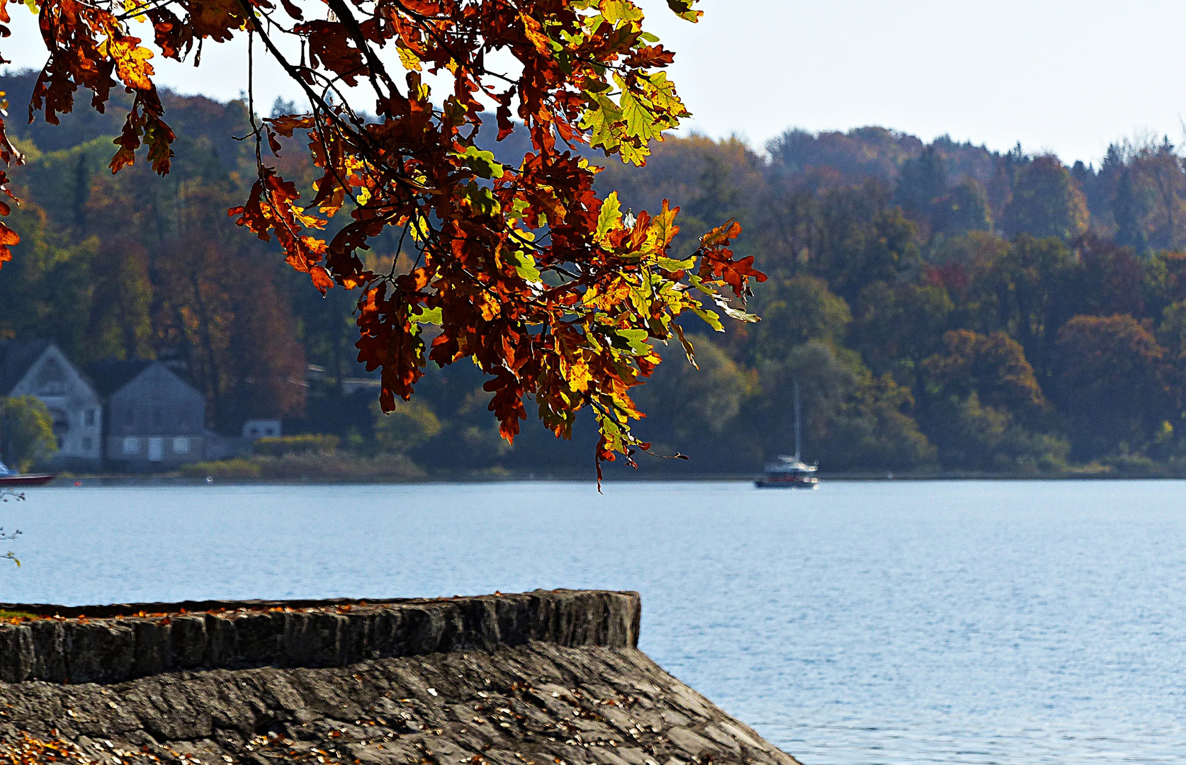 Goldener Herbst