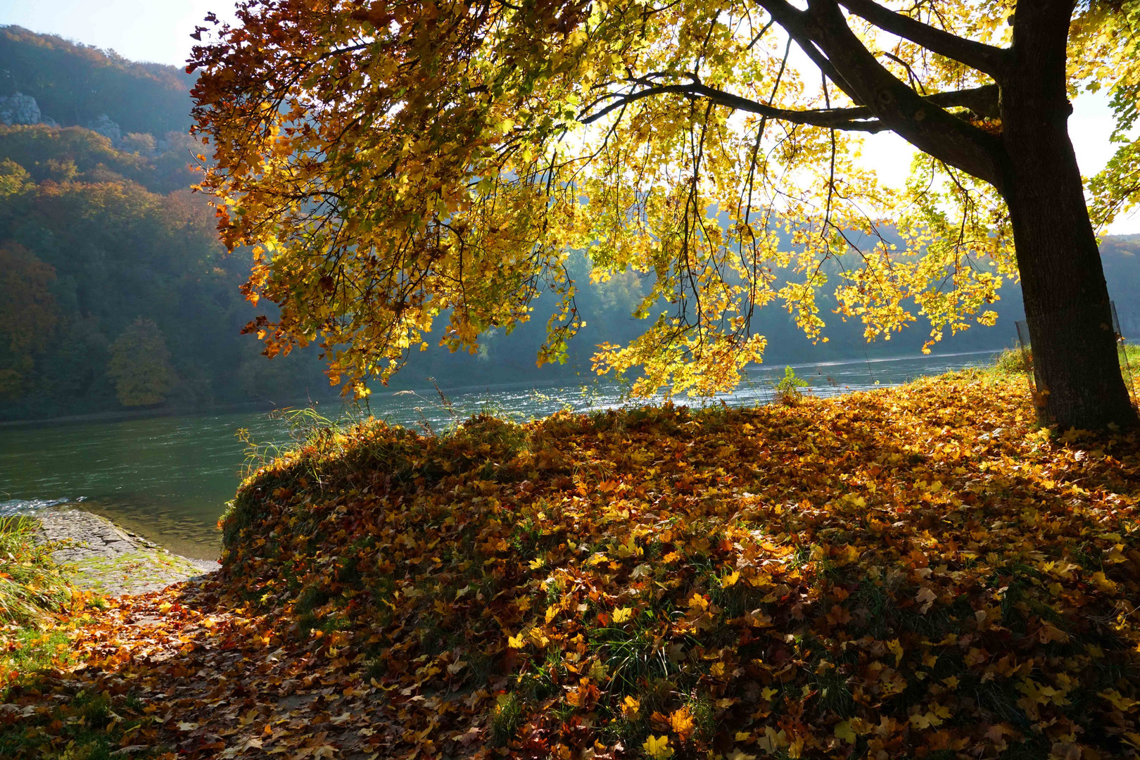 Goldener Herbst