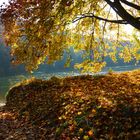 Goldener Herbst