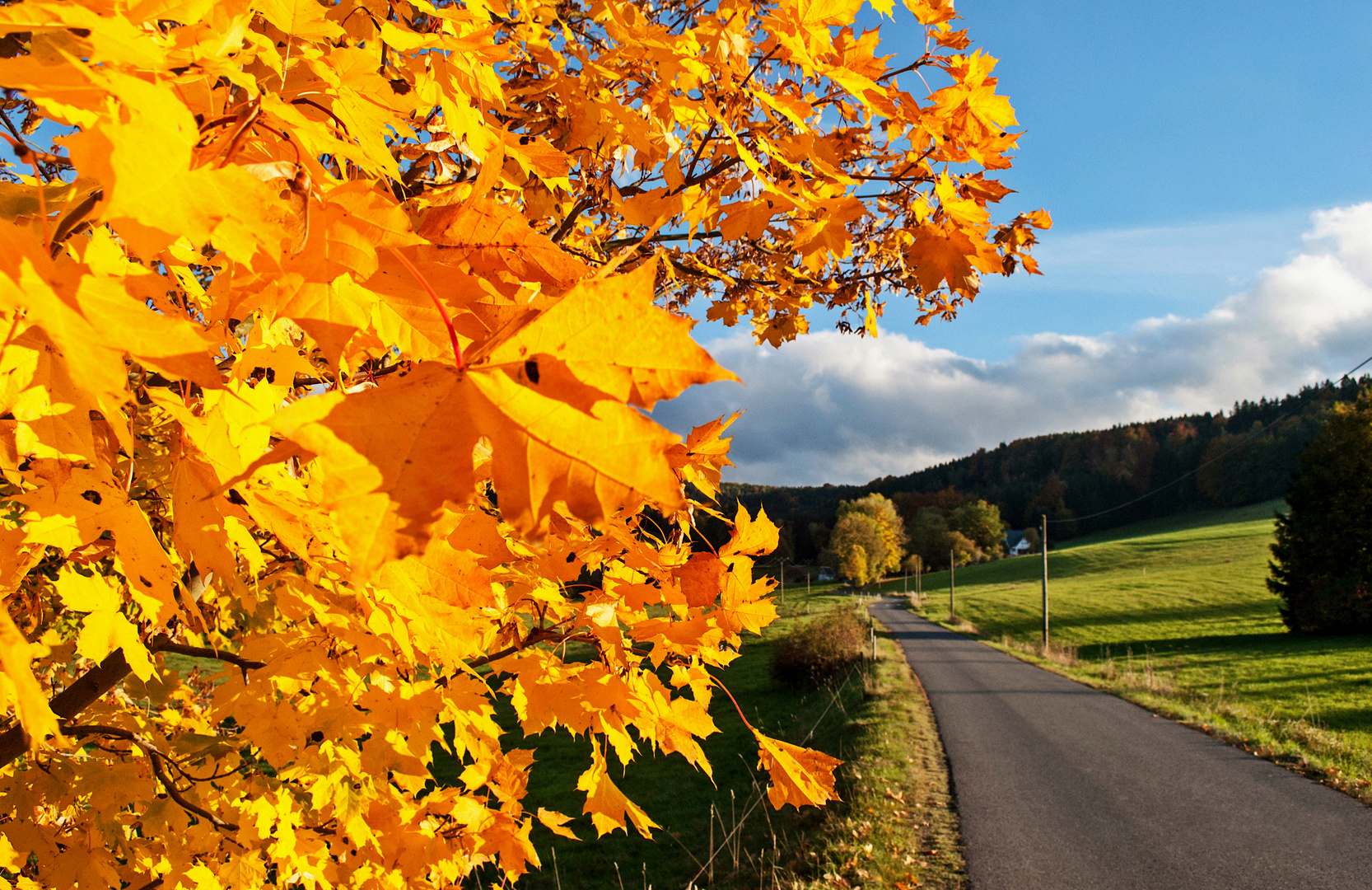 Goldener Herbst