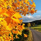 Goldener Herbst