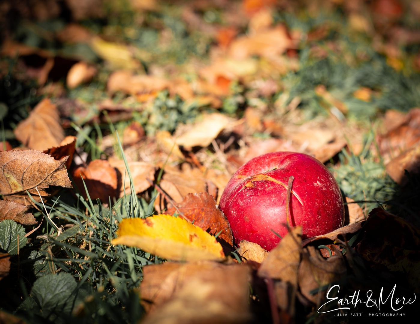 Goldener Herbst