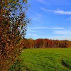 Goldener Herbst