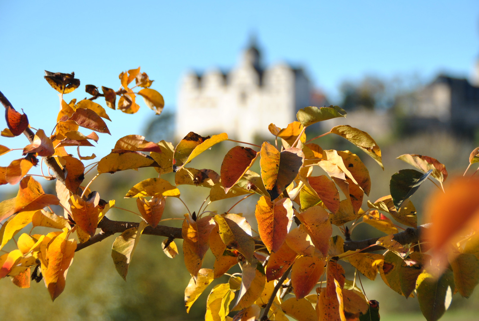 Goldener Herbst