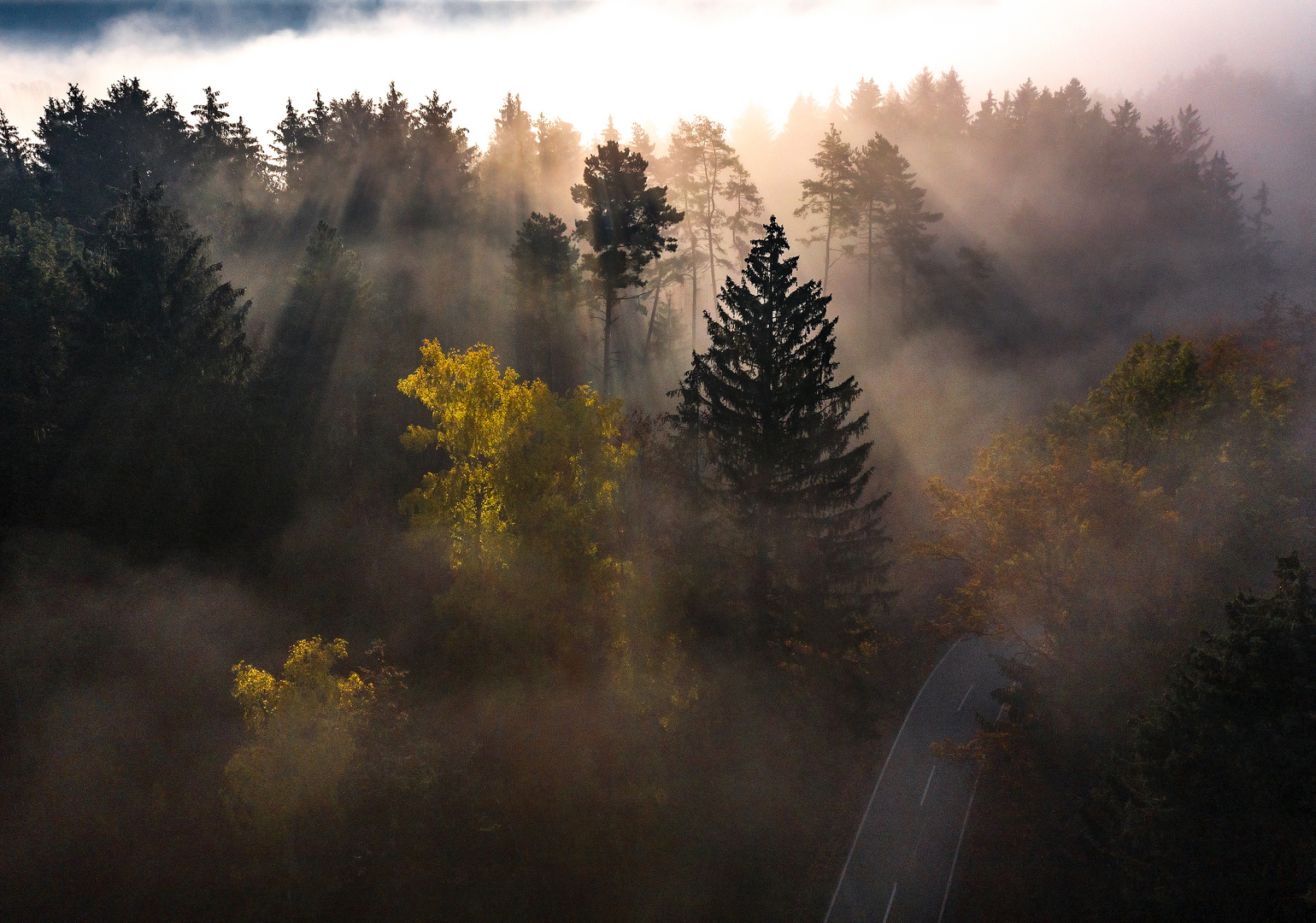 Goldener Herbst