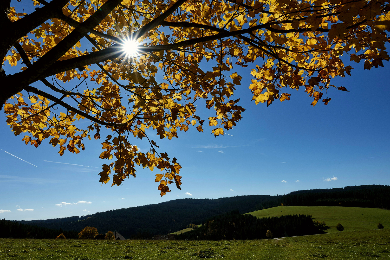 Goldener Herbst