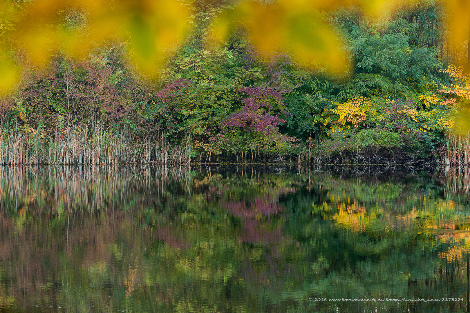 Goldener Herbst...