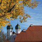 Goldener Herbst 