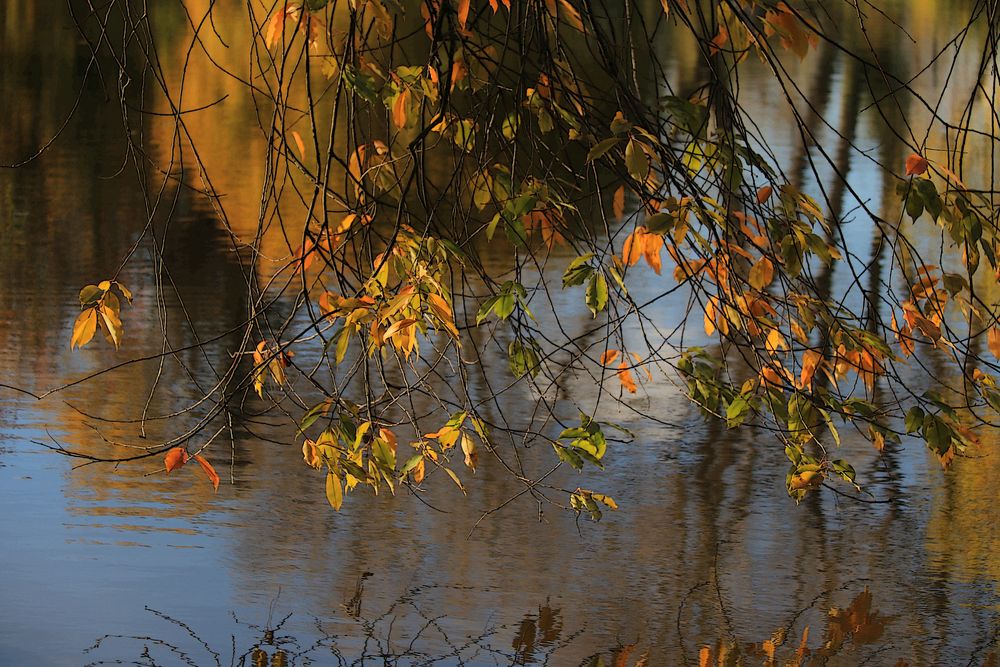 Goldener Herbst