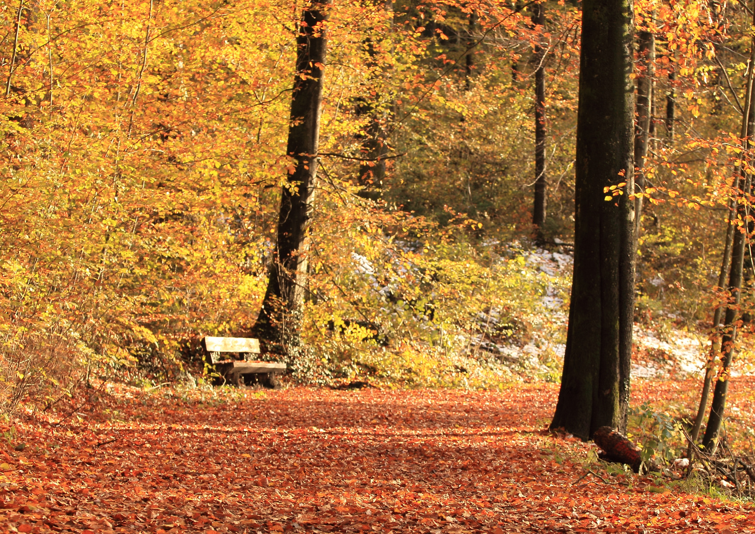 Goldener Herbst