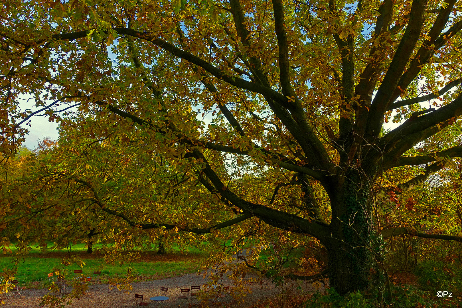 Goldener Herbst ...