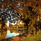 = goldener Herbst =