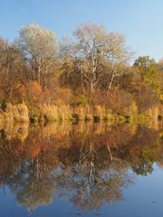 Goldener Herbst