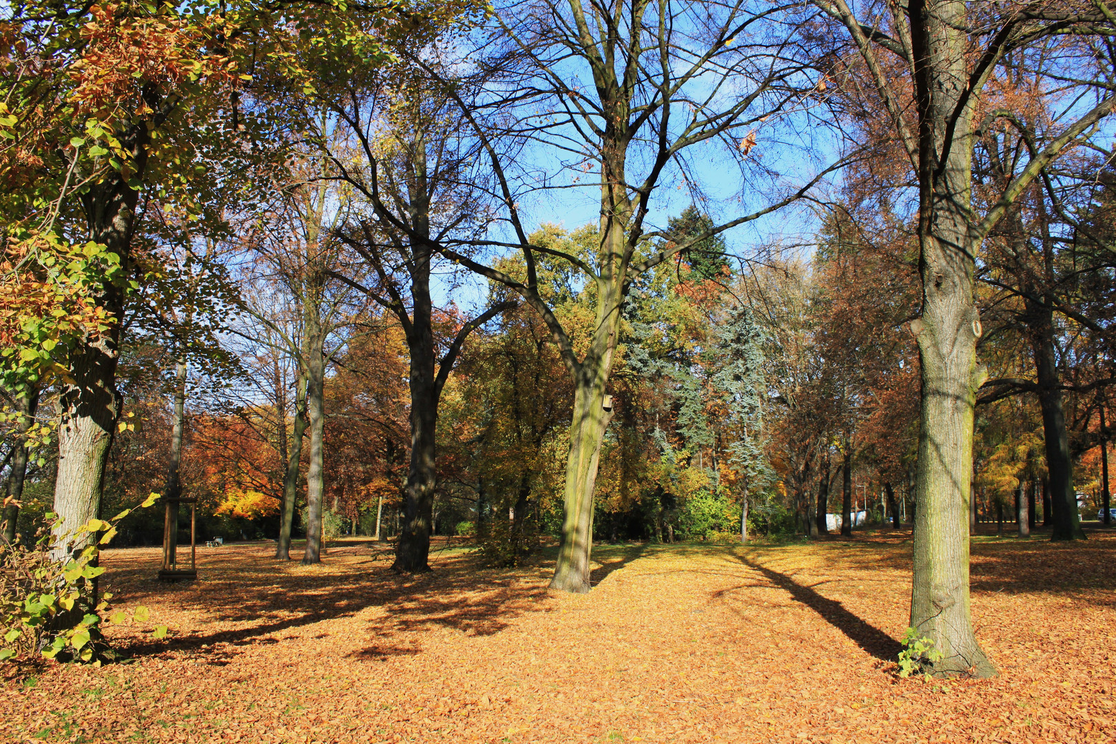 Goldener Herbst