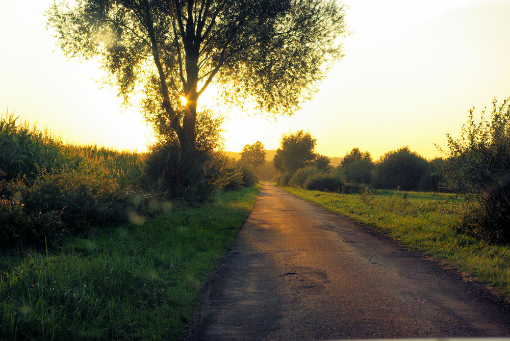 Goldener Herbst