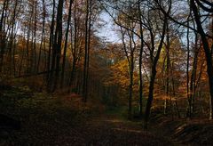 Goldener Herbst