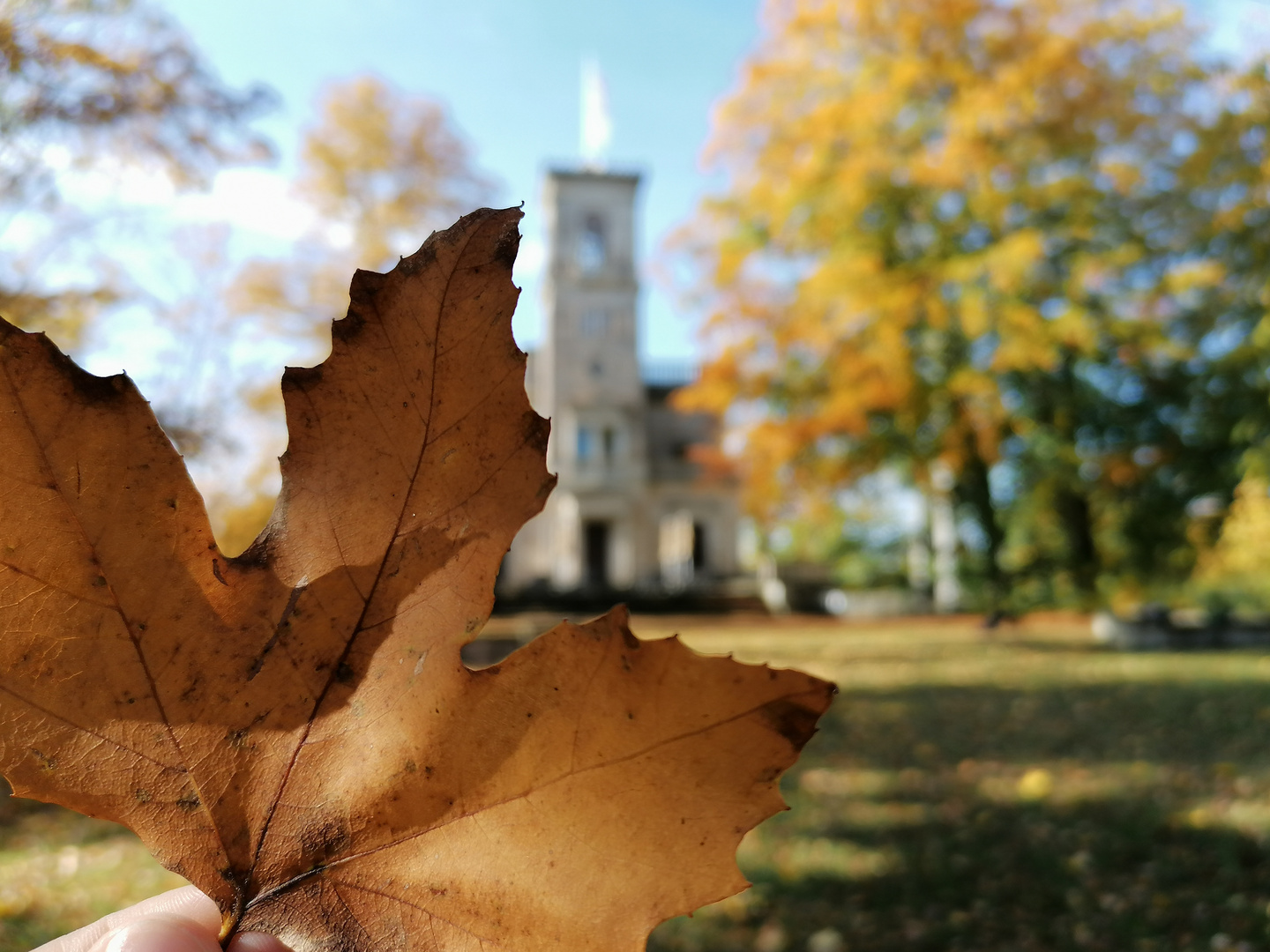 Goldener Herbst 