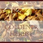 Goldener Herbst...