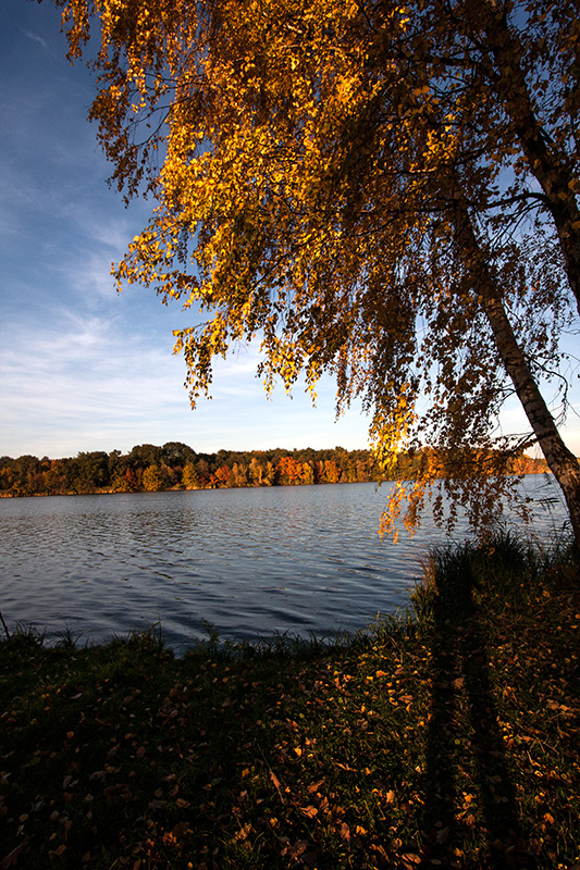 Goldener Herbst