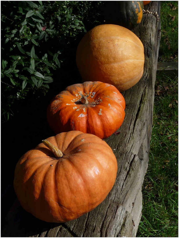 Goldener Herbst