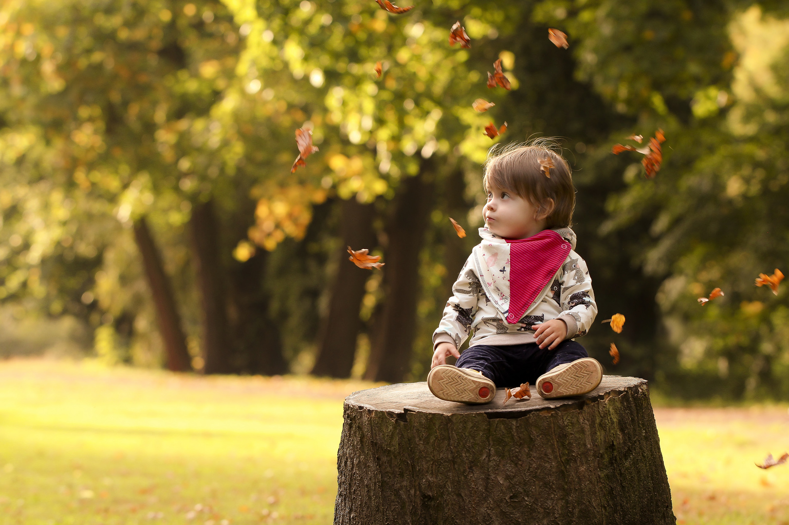 Goldener Herbst