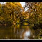 goldener Herbst