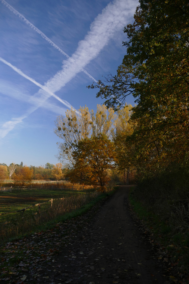 Goldener Herbst