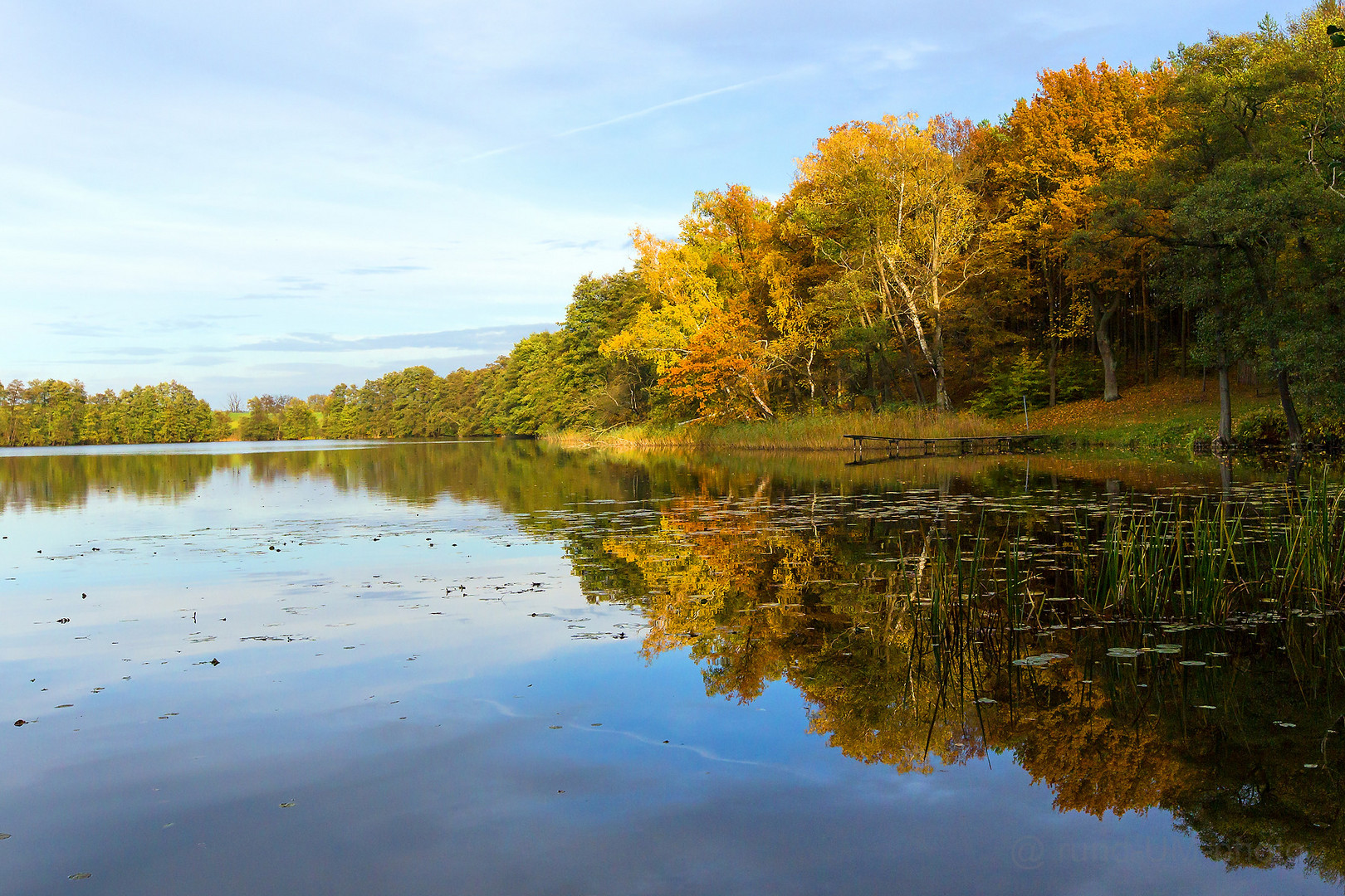 Goldener Herbst