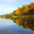 Goldener Herbst