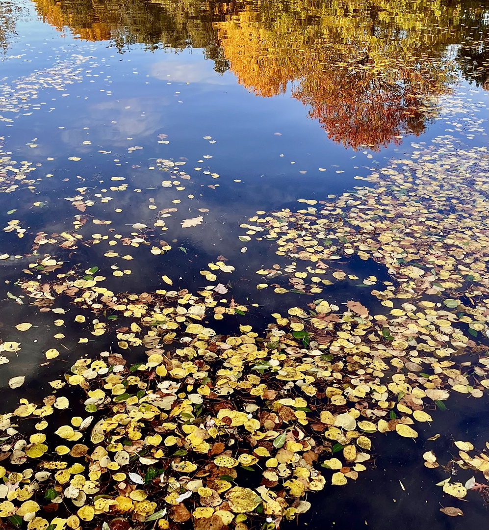 Goldener Herbst