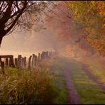 Goldener Herbst