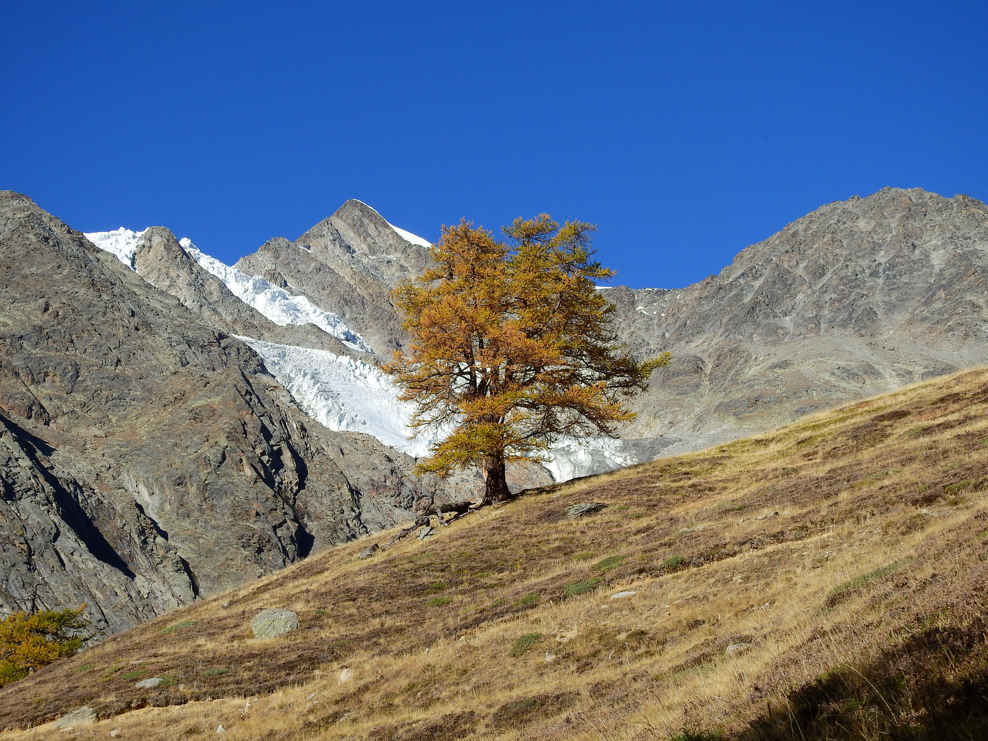 Goldener Herbst