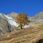 Goldener Herbst