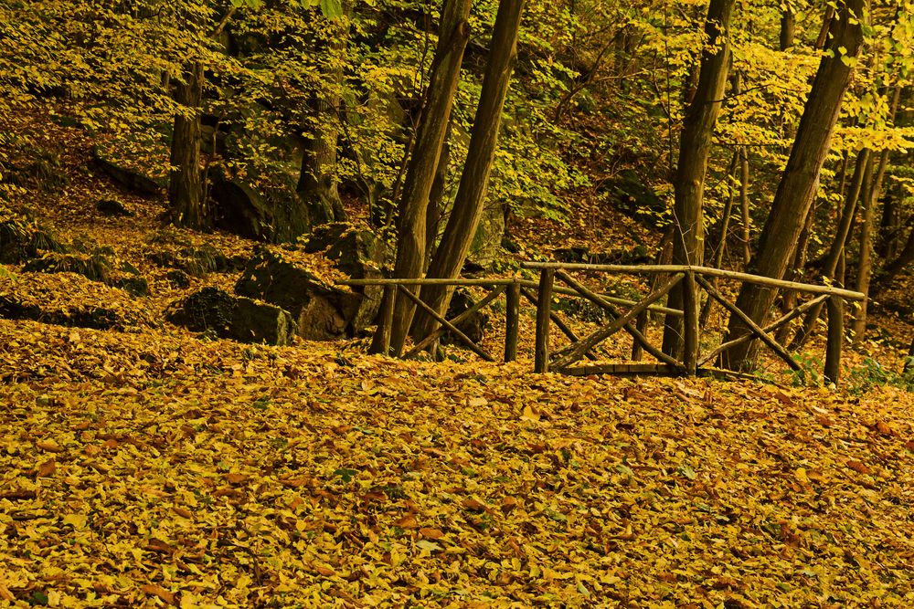 goldener Herbst