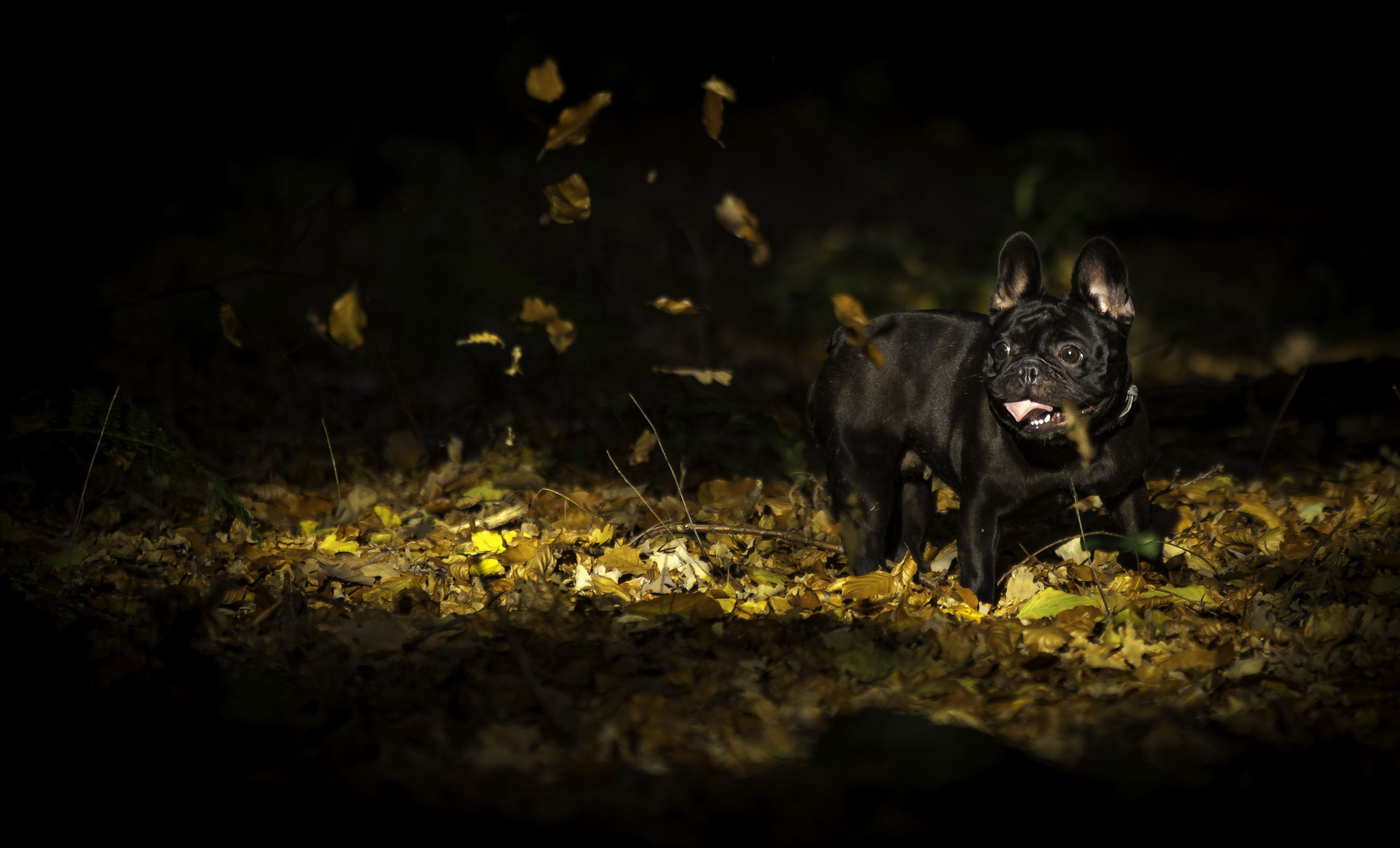 Goldener Herbst